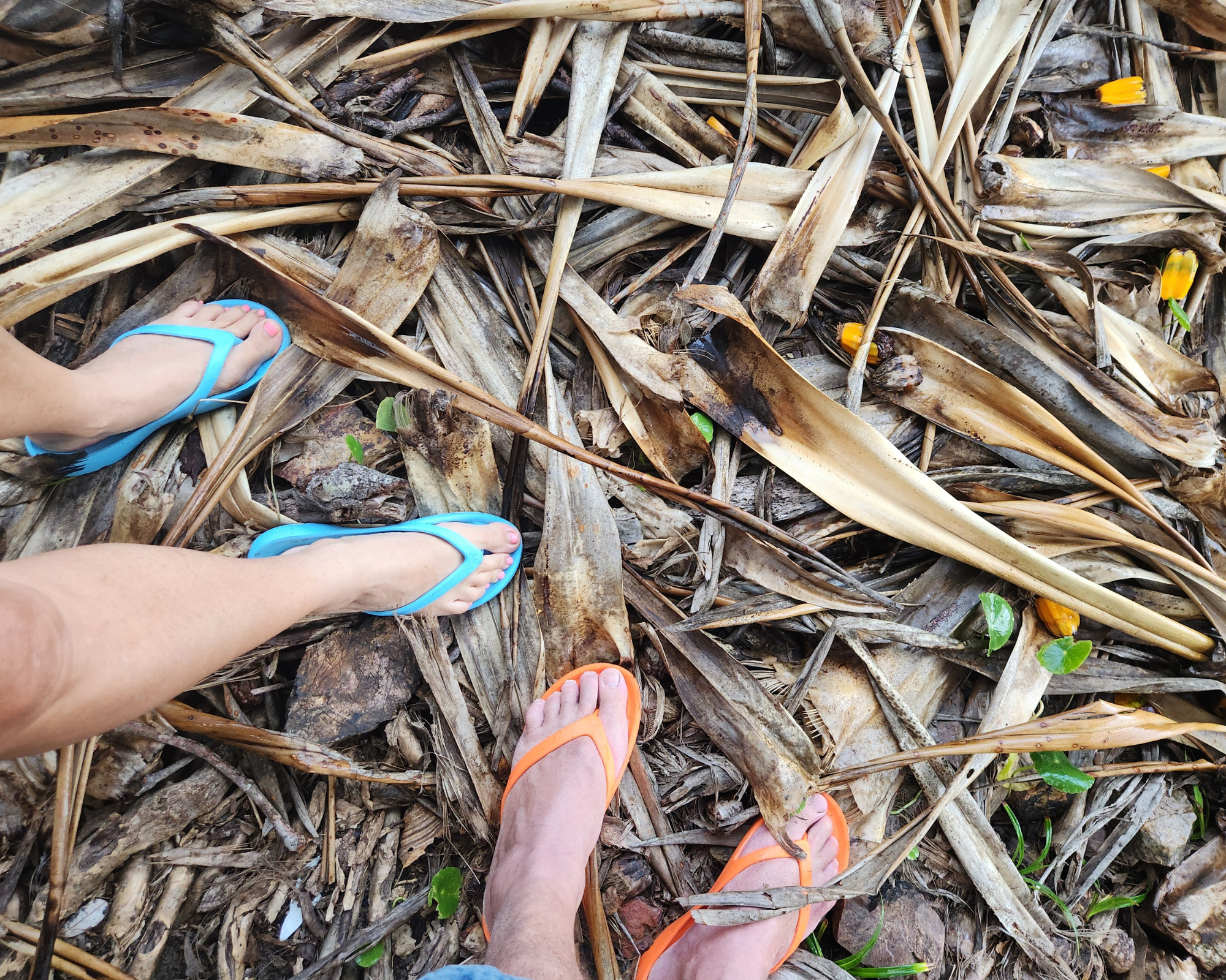 Thongs that don’t wear out: Why Slappa's Thongs last longer than the rest.